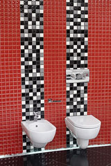 bidet and water closet toilet
