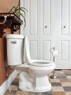 white porcelain toilet